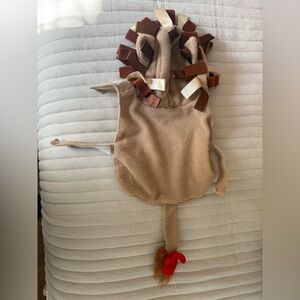 Adorable Tan and Brown Dog Lion Costume